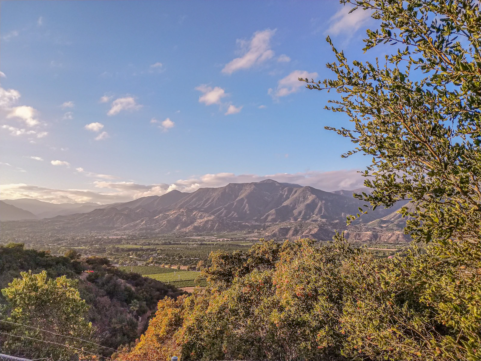 Ojai, California photo 9 by Johanna Zender
