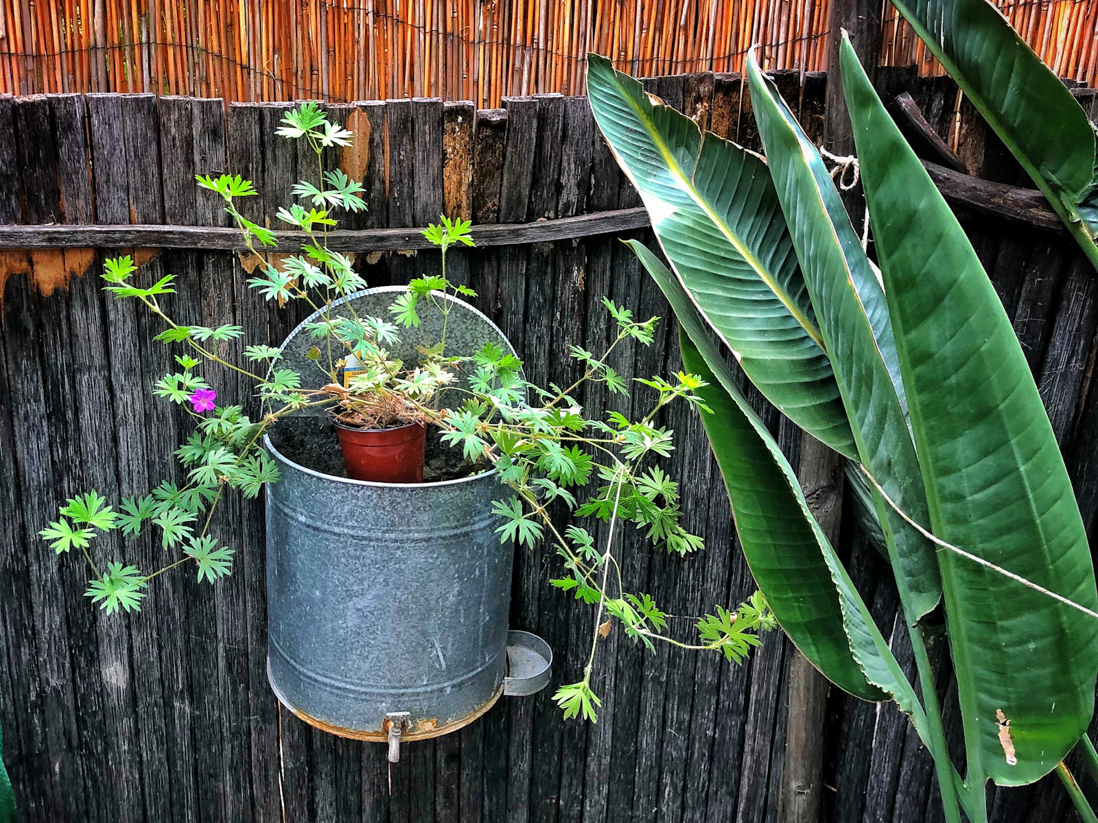 Ojai, California photo 5 by Daniel Klein