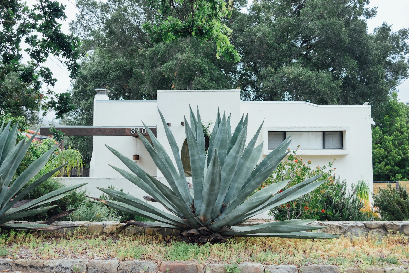 Ojai, California photo 15 by Paul Hanaoka