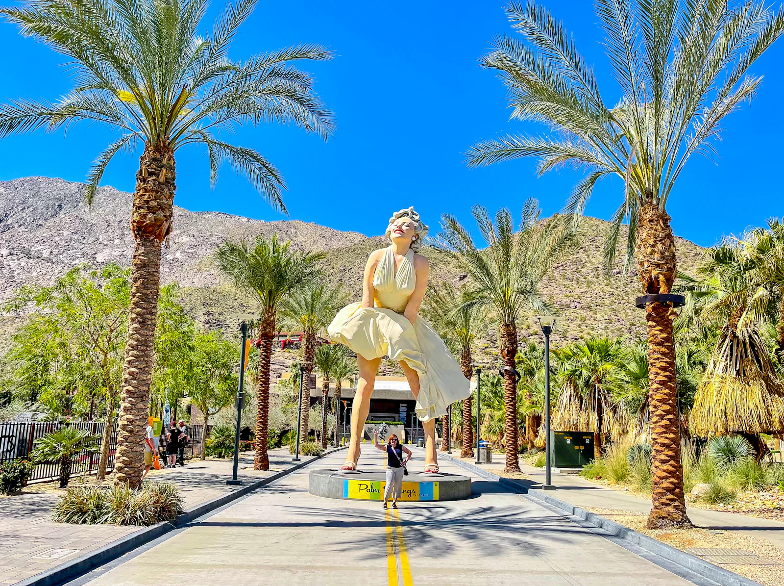 Palm Springs, California photo 7 by Susi Kleiman