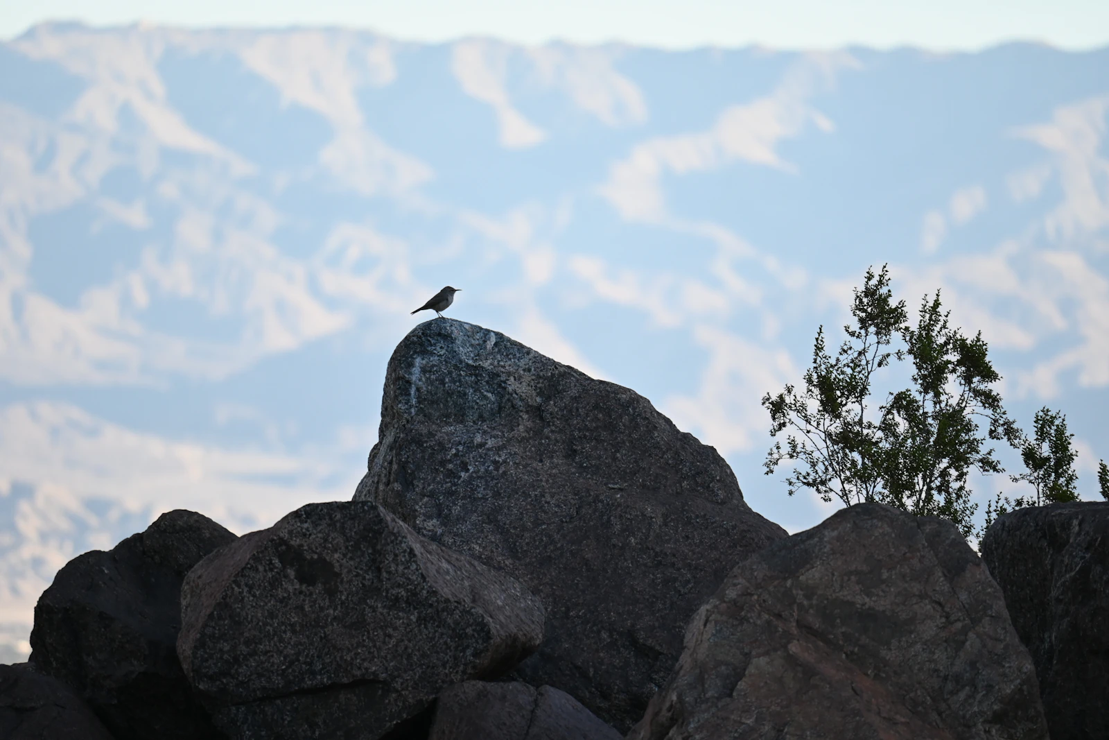 Palm Springs, California photo 24 by Mitchell Hamilton