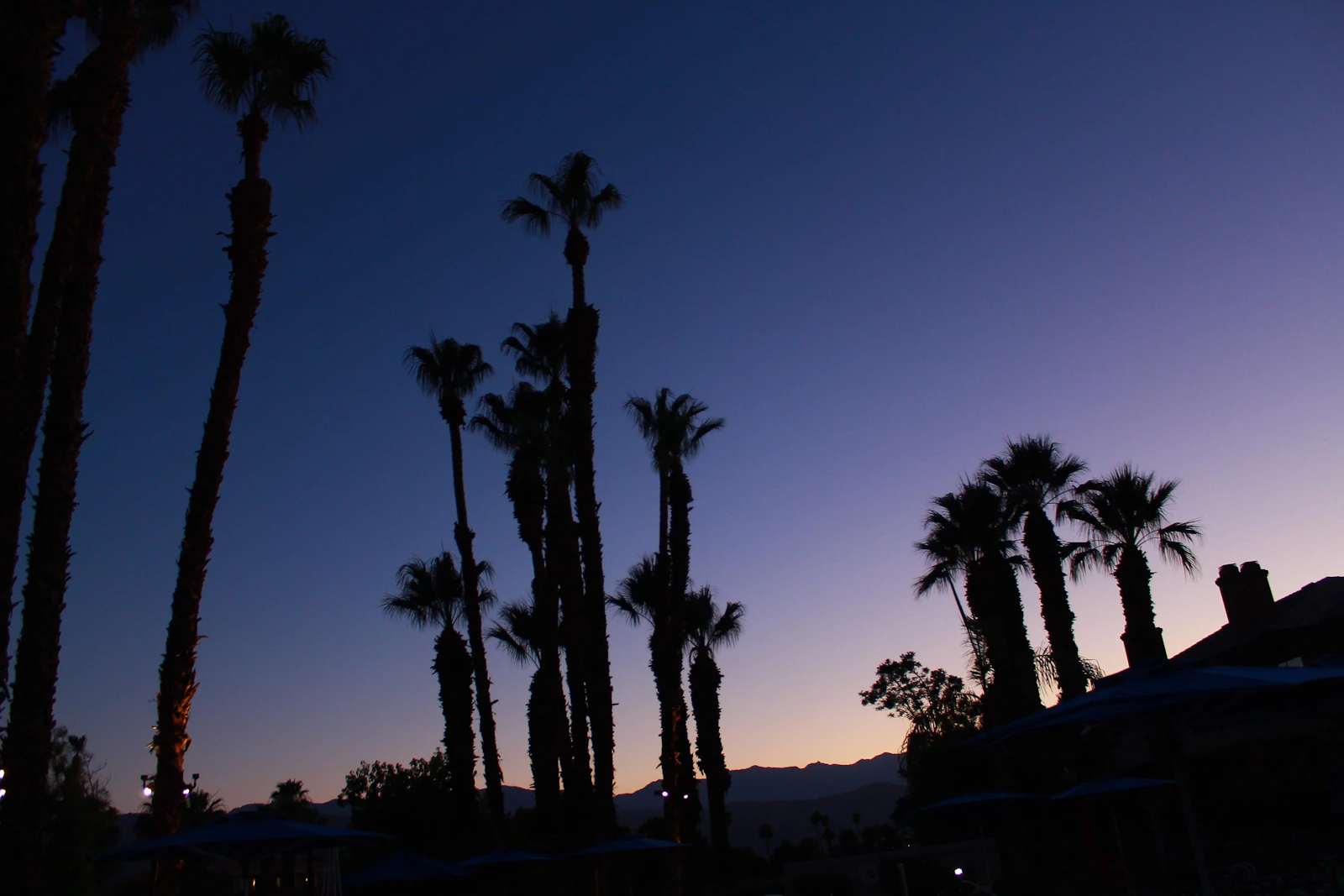 Palm Springs, California photo 25 by Junipero Verbeke