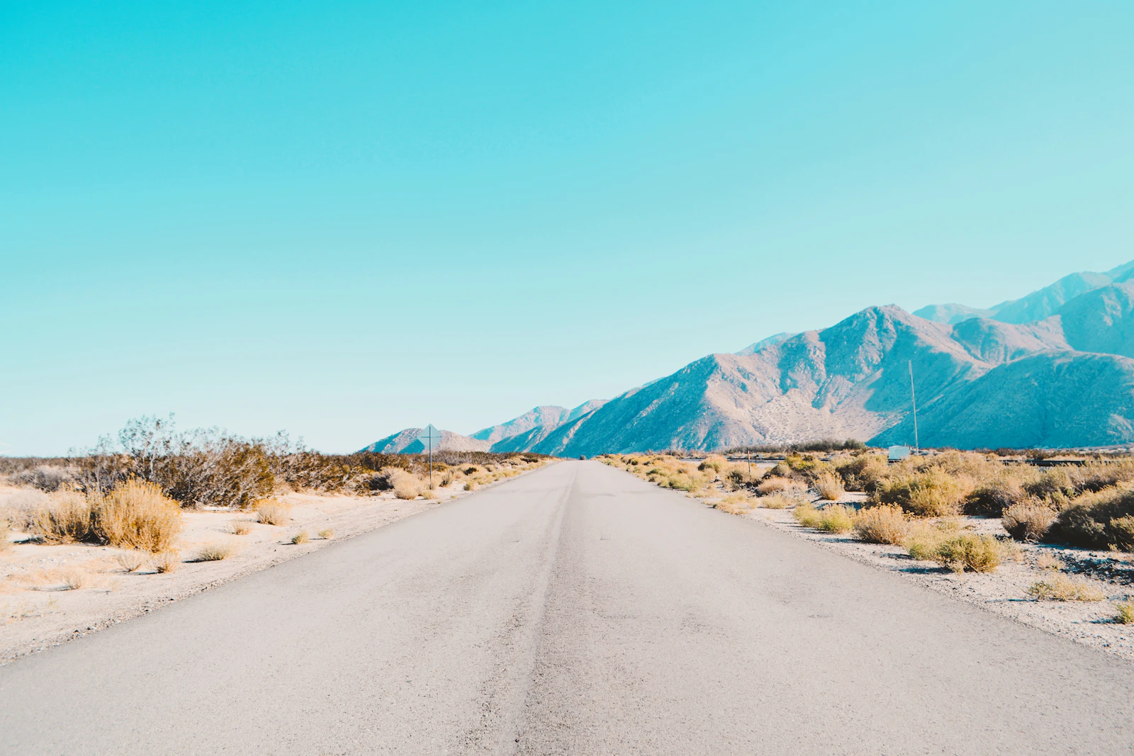 Palm Springs, California photo 9 by Ruth Bourke