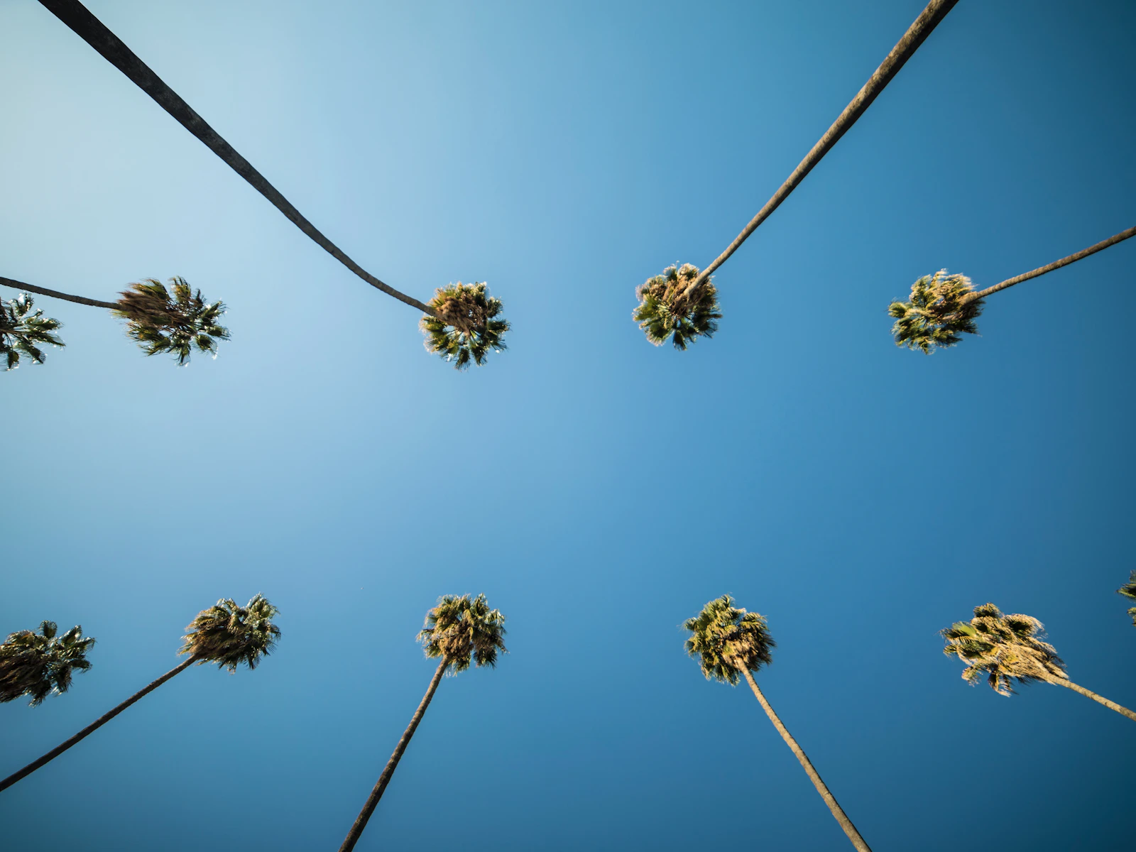 Palm Springs, California photo 3 by Shot By Joe
