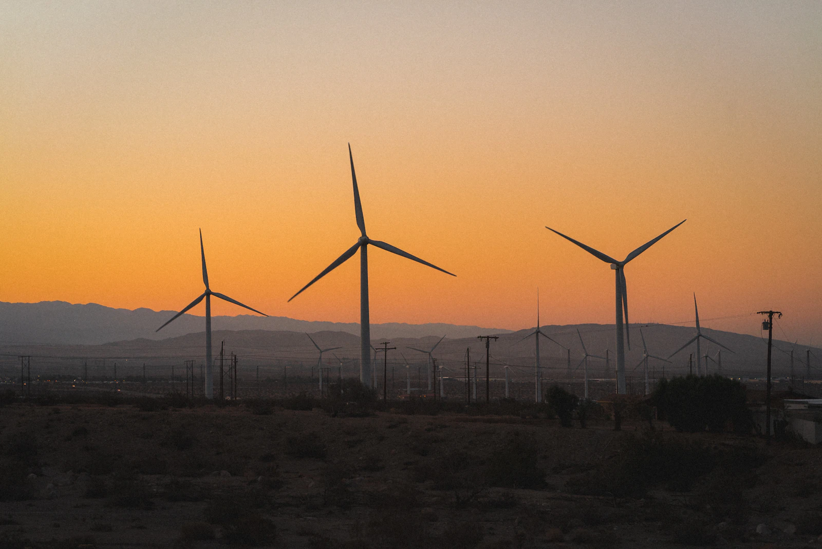 Palm Springs, California photo 19 by Karsten Winegeart