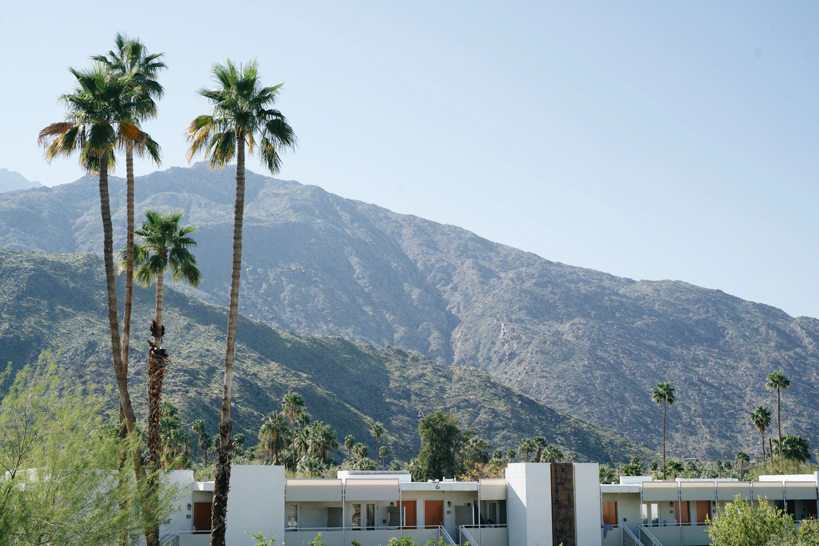 Palm Springs, California photo 6 by Jocelynne Flor