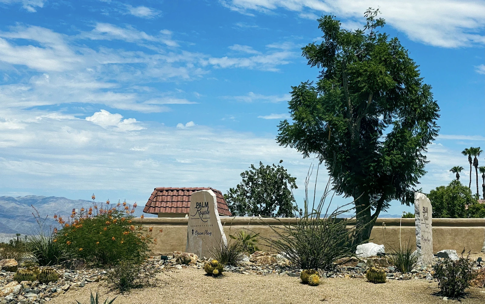 Palm Springs, California photo 26 by Oscar Ochoa