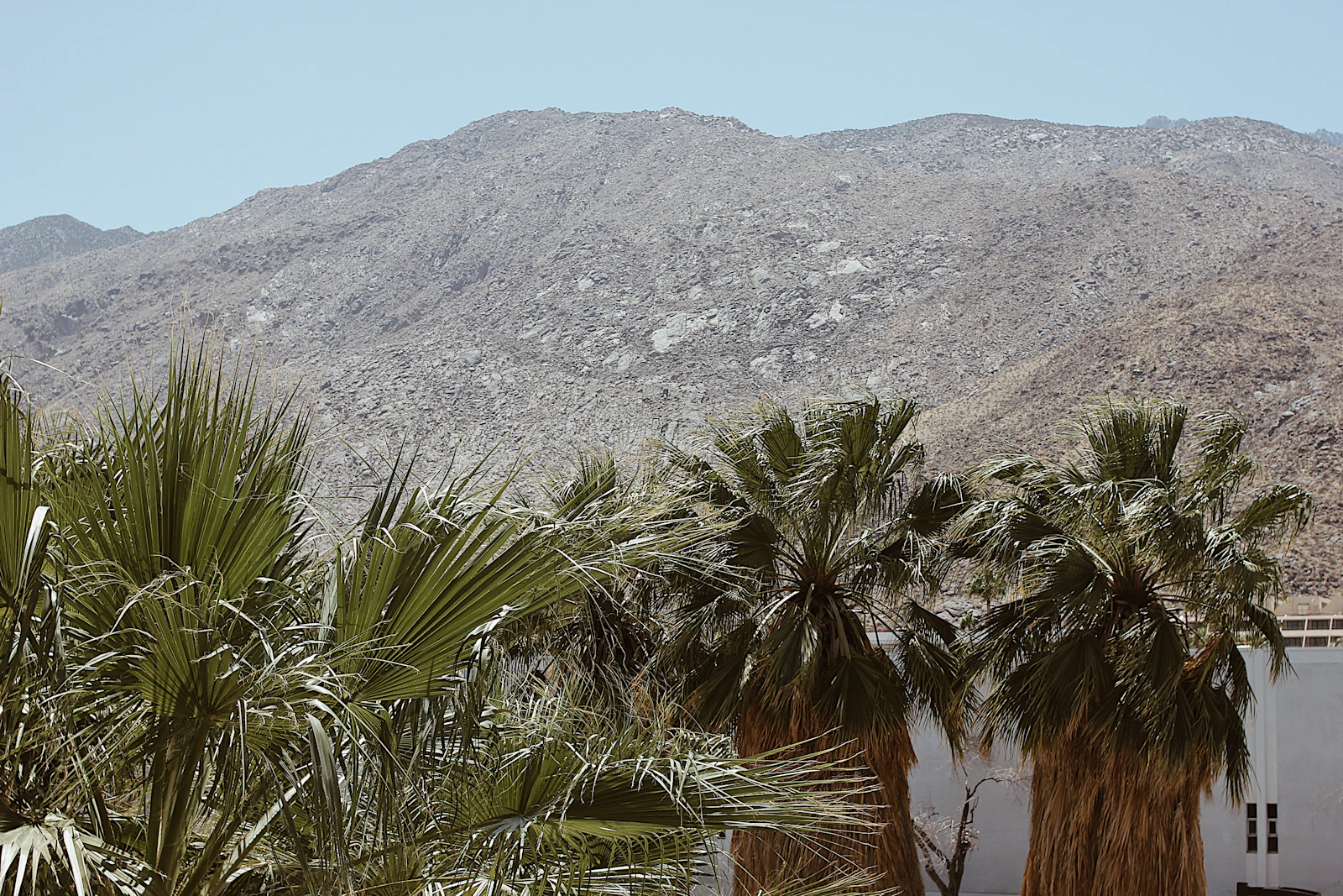 Palm Springs, California photo 21 by Karly Jones