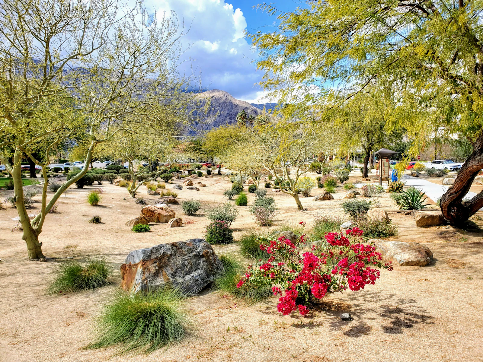 Palm Springs, California photo 20 by Paulette Deckers