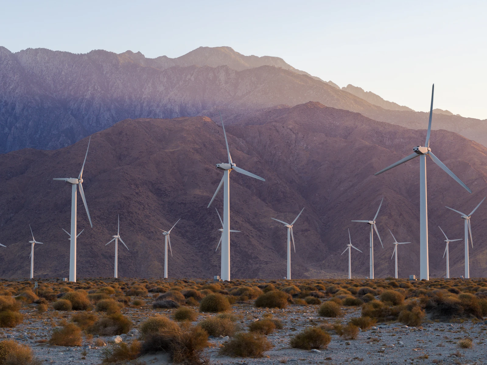 Palm Springs, California photo 10 by Noah Buscher