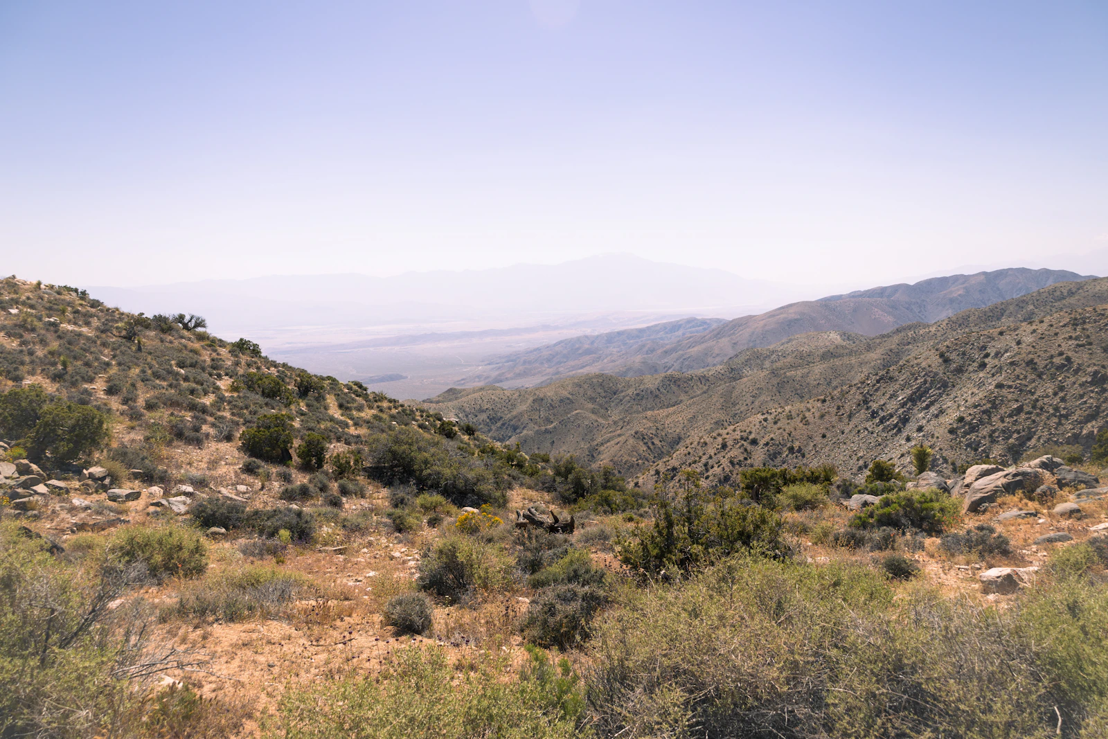 Paso Robles, California photo 9 by Vincent Y @USA