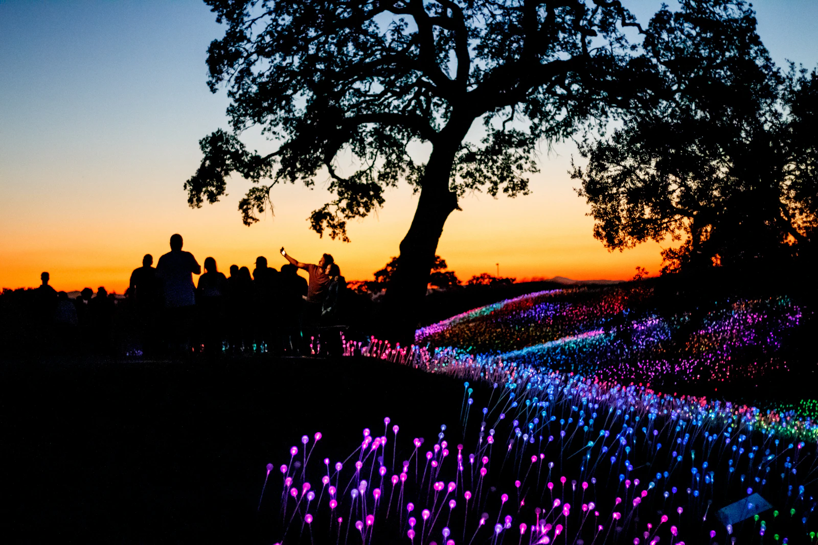 Paso Robles, California photo 24 by Jason Moyer