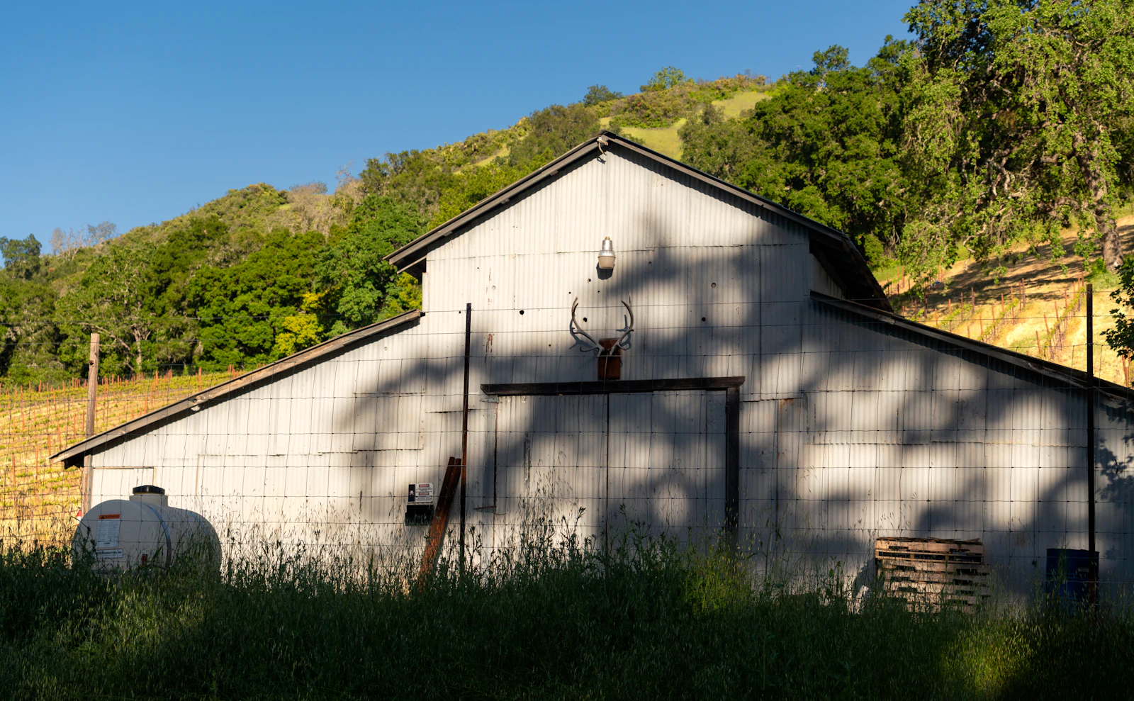 Paso Robles, California photo 21 by Jim Witkowski