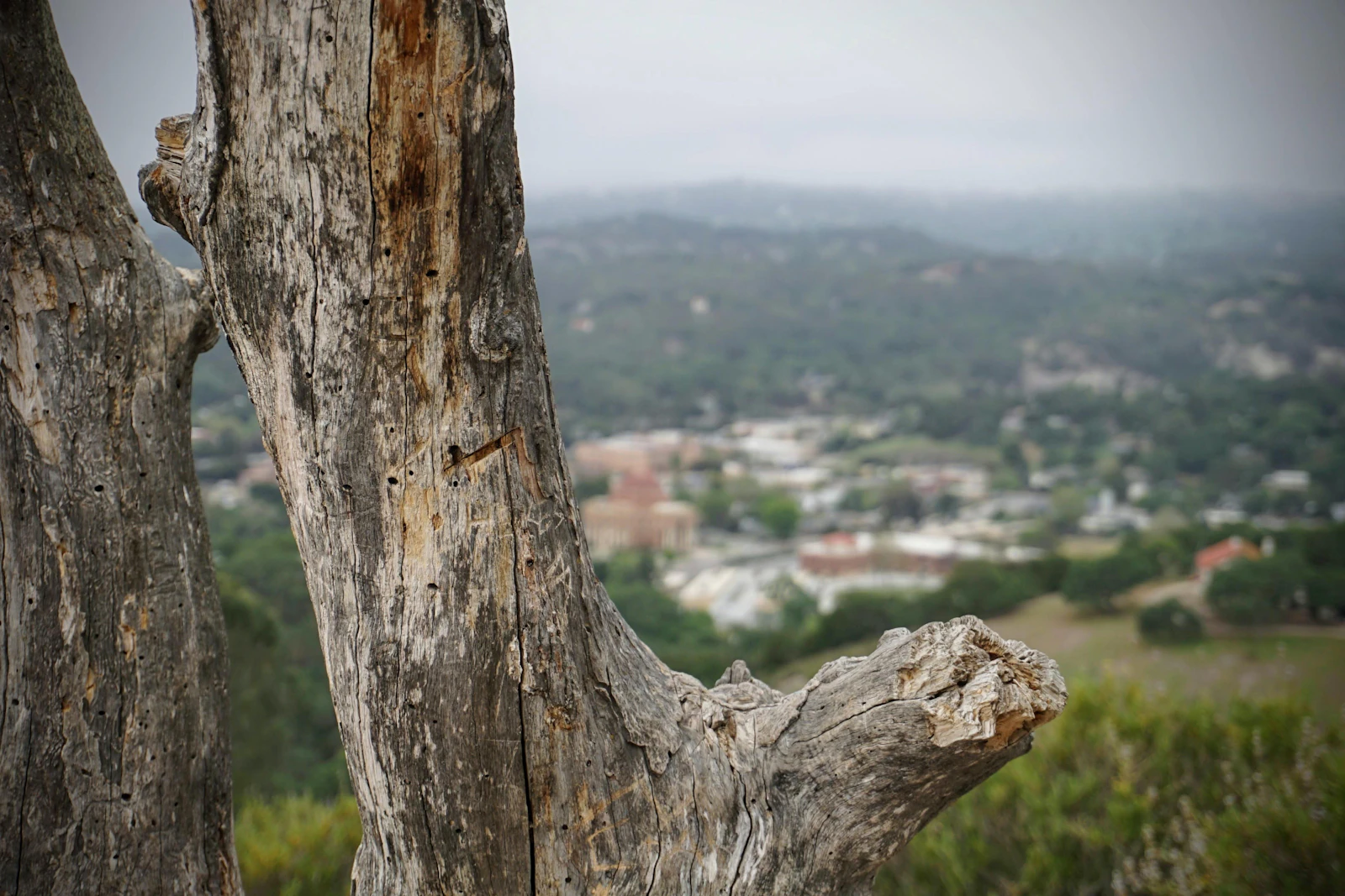 Paso Robles, California photo 16 by Scott Kessler