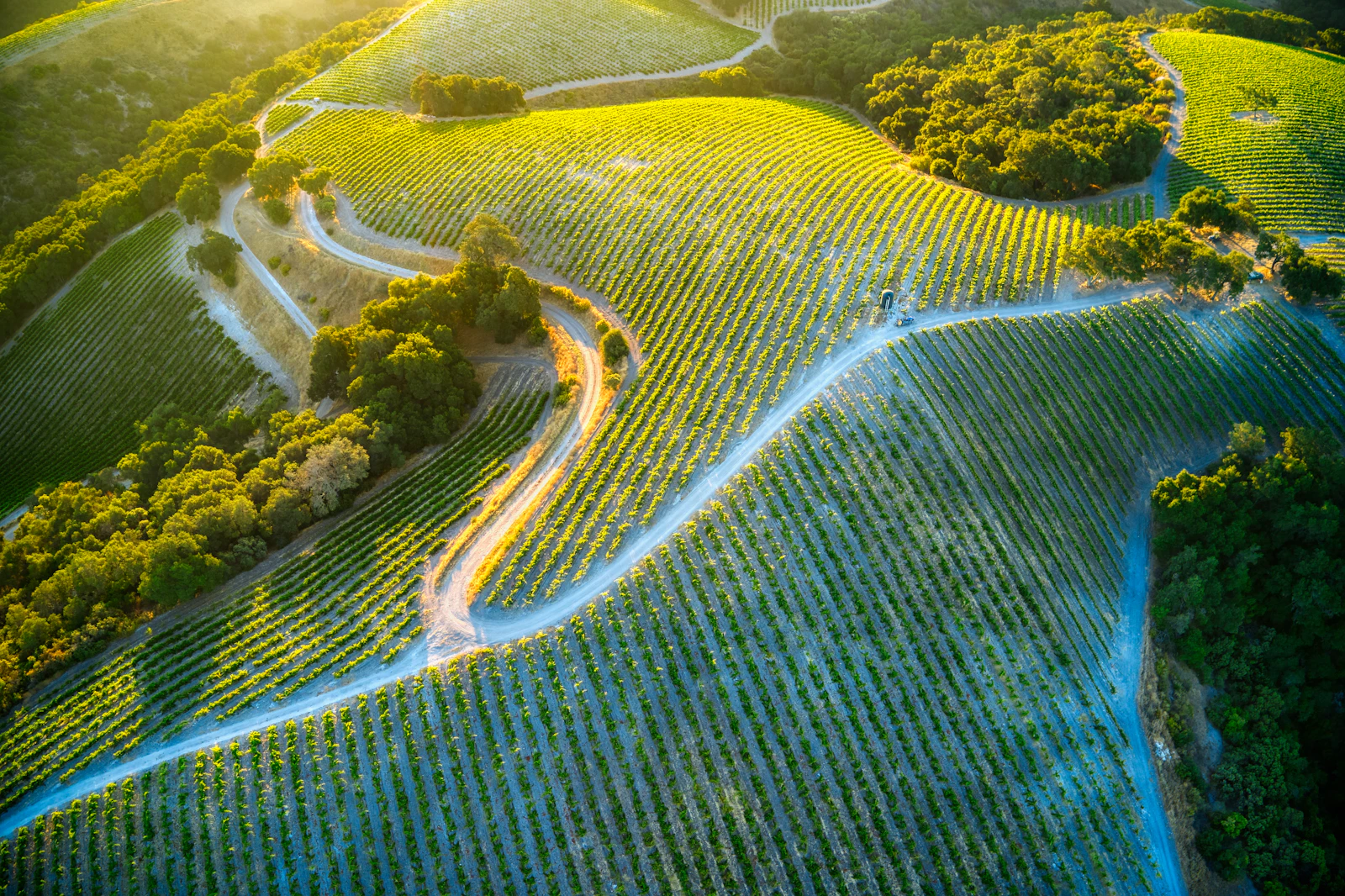 Paso Robles, California photo 3 by Venti Views