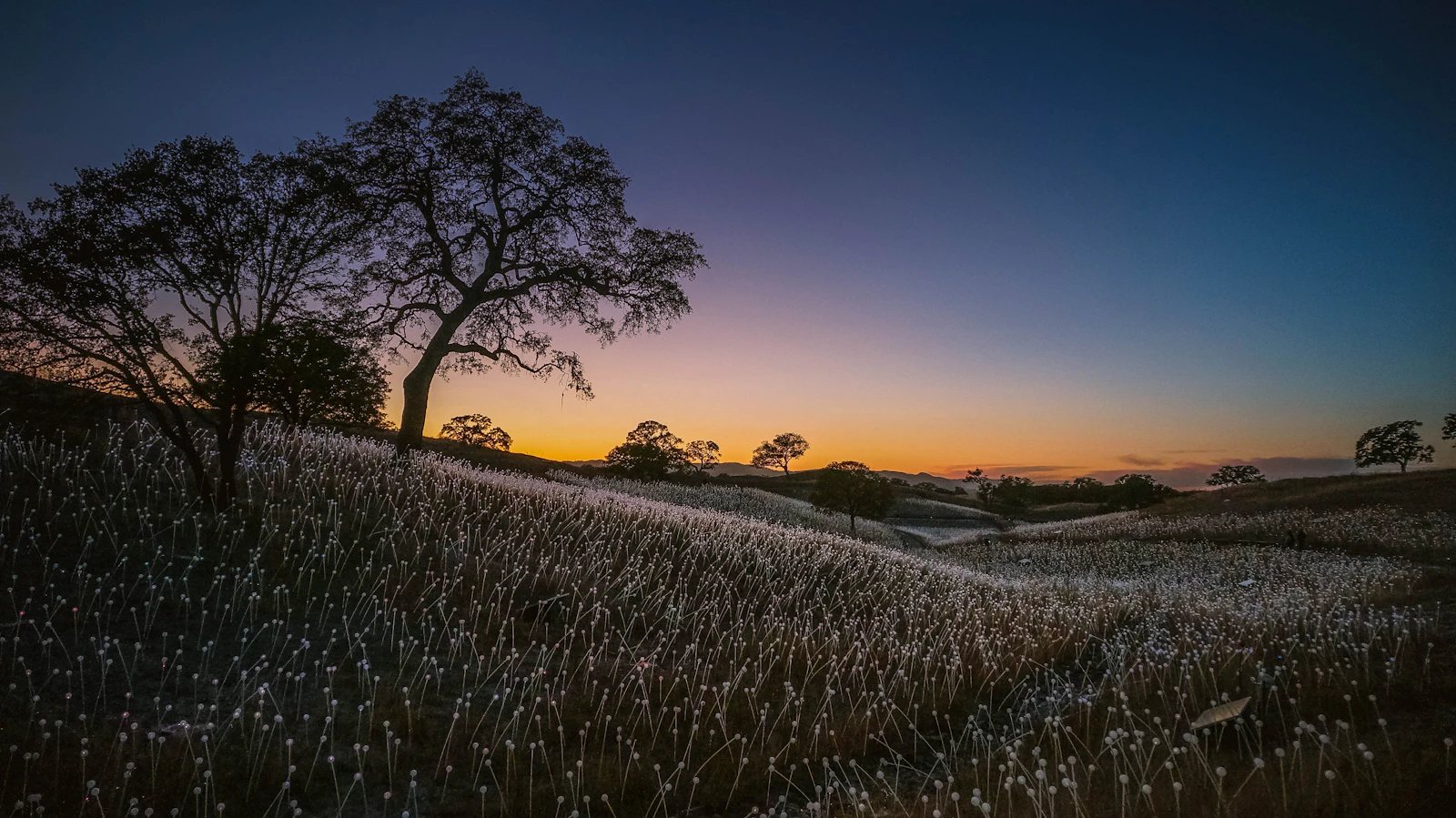 Paso Robles, California photo 18 by Hazel