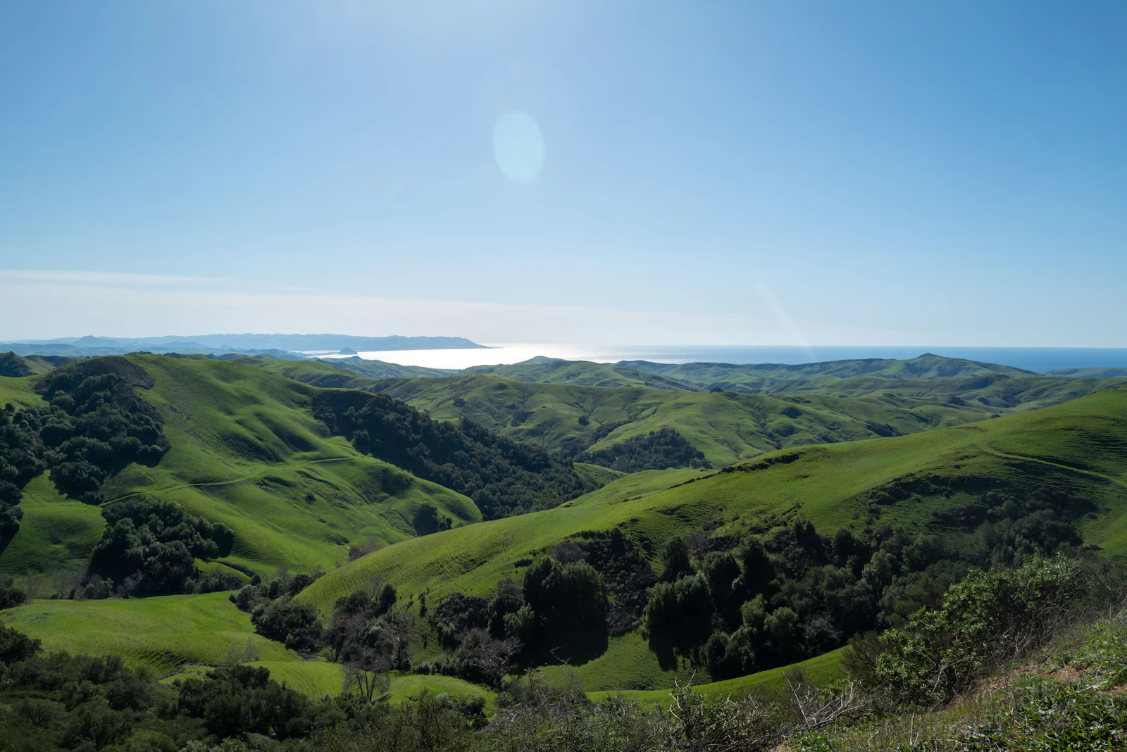 Paso Robles, California photo 20 by Brian Thompson
