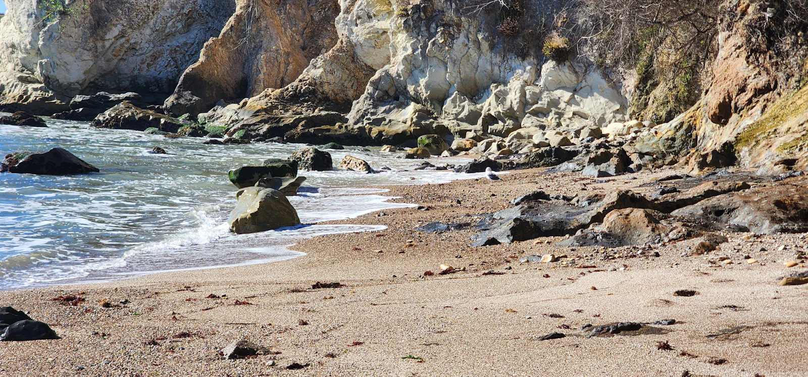 Pismo Beach, California photo 20 by MicheleKay Saiki-Poaha