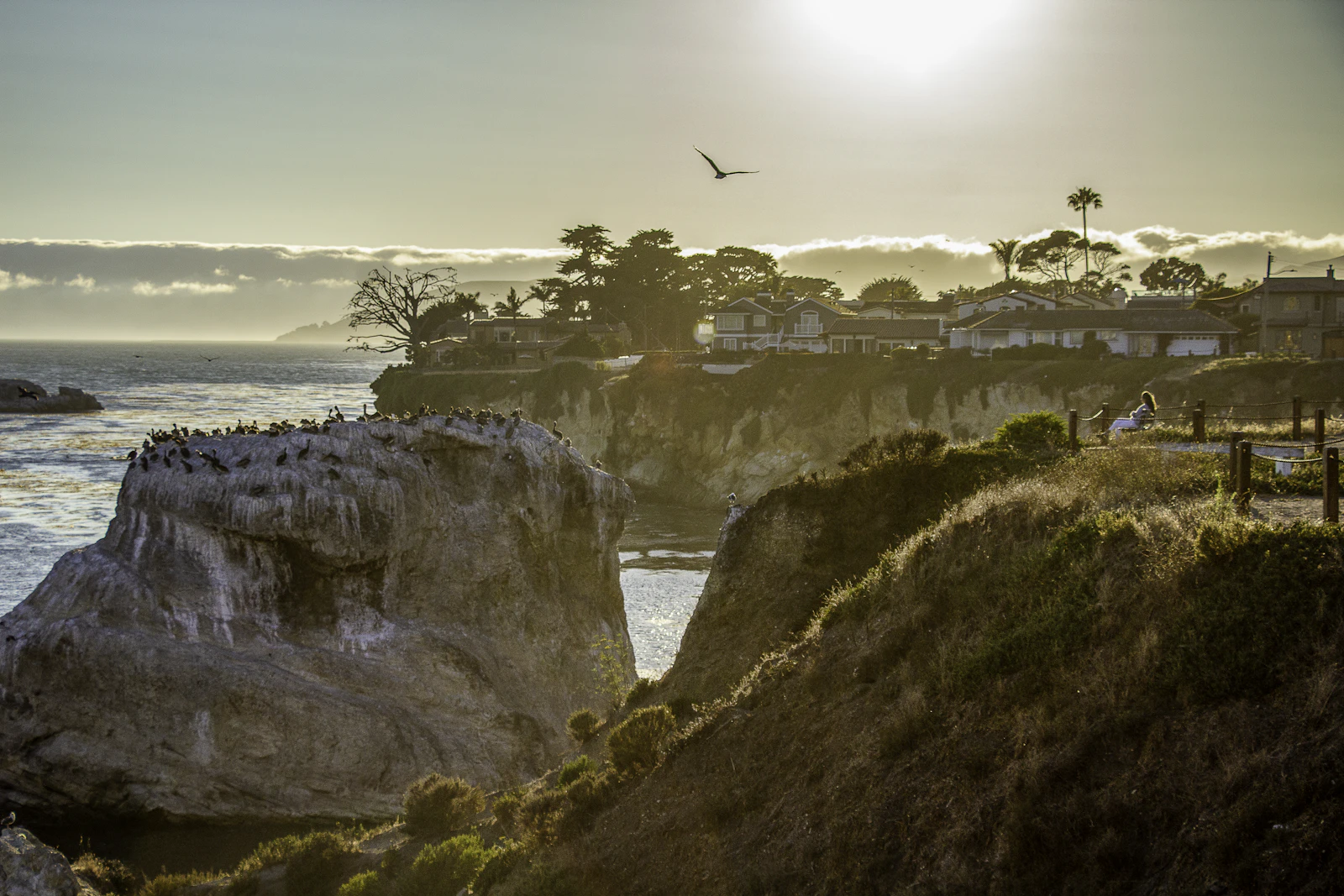 Pismo Beach, California photo 15 by Michael Perez
