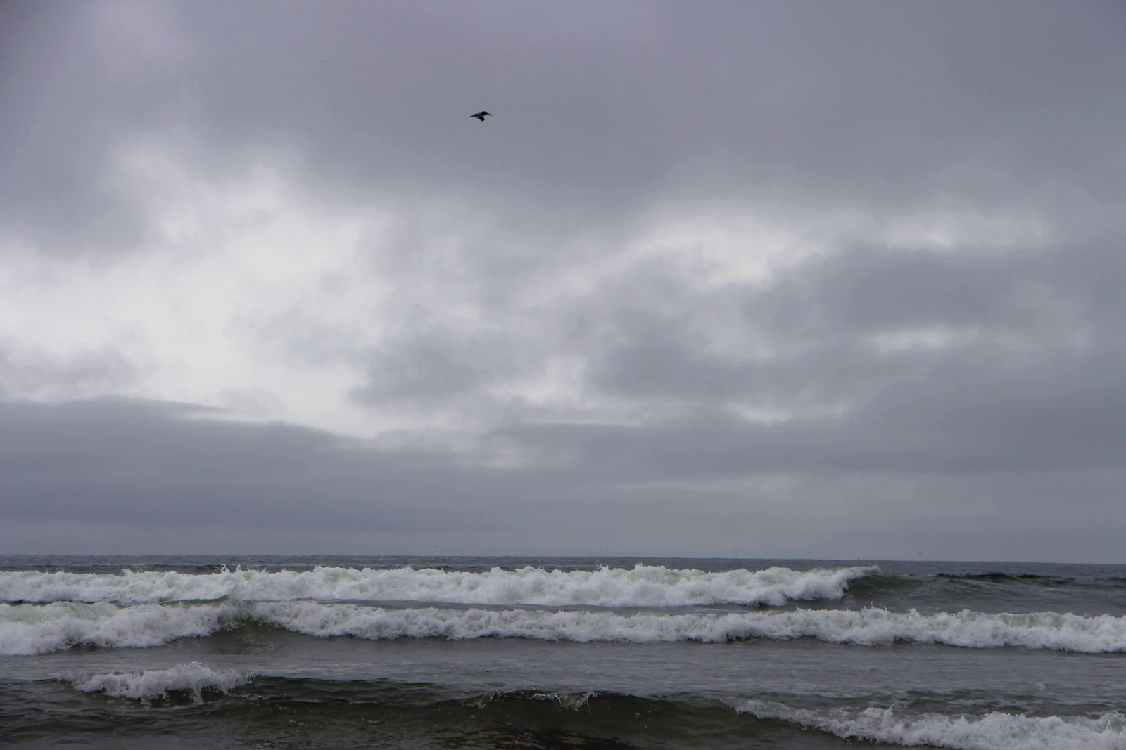 Pismo Beach, California photo 22 by dija .