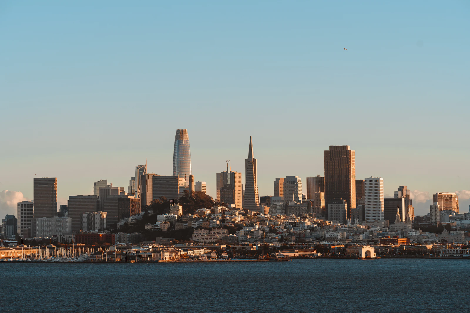 San Francisco, California photo 15 by Mauro Lima