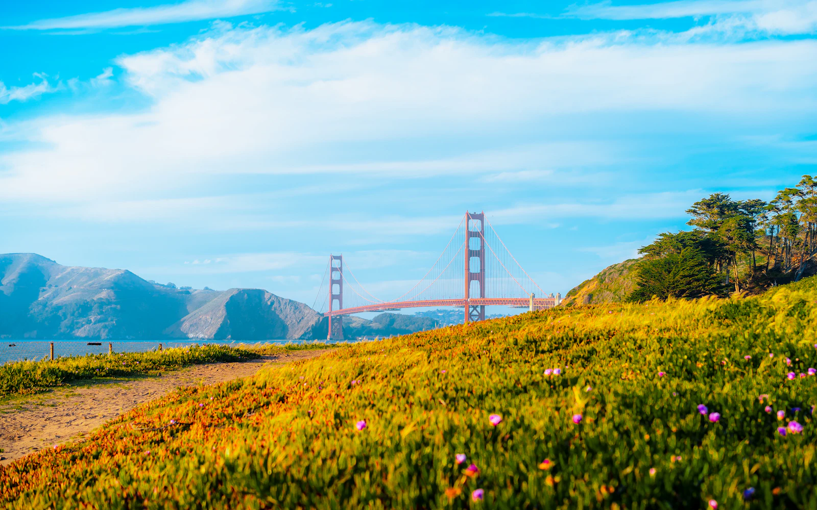 San Francisco, California photo 24 by Mos Sukjaroenkraisri