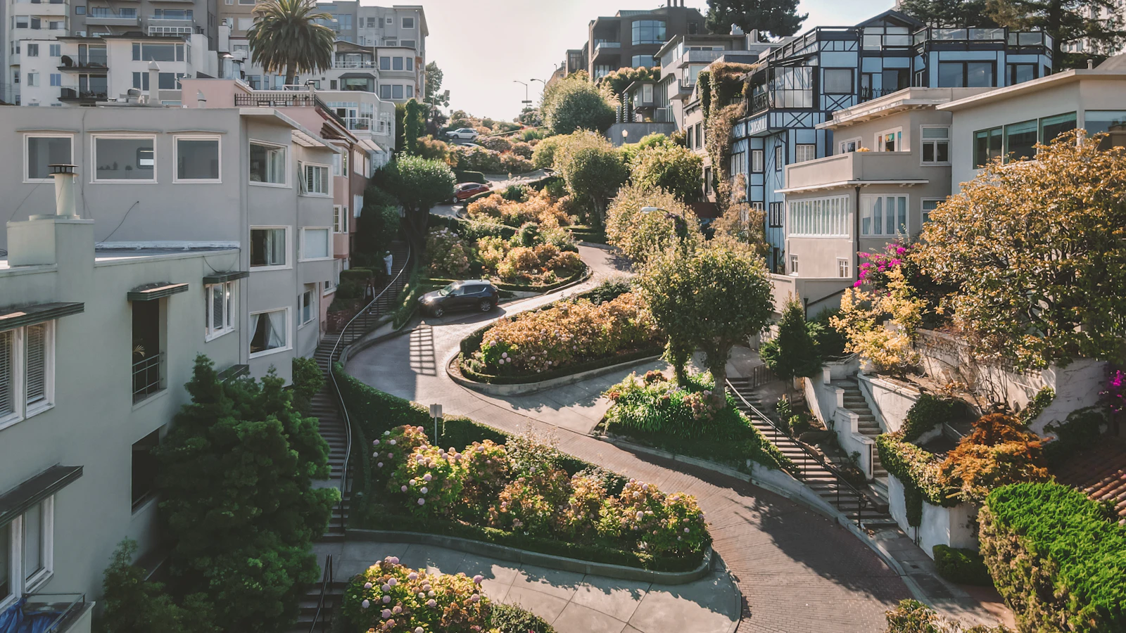 San Francisco, California photo 13 by NISCHAL MALLA