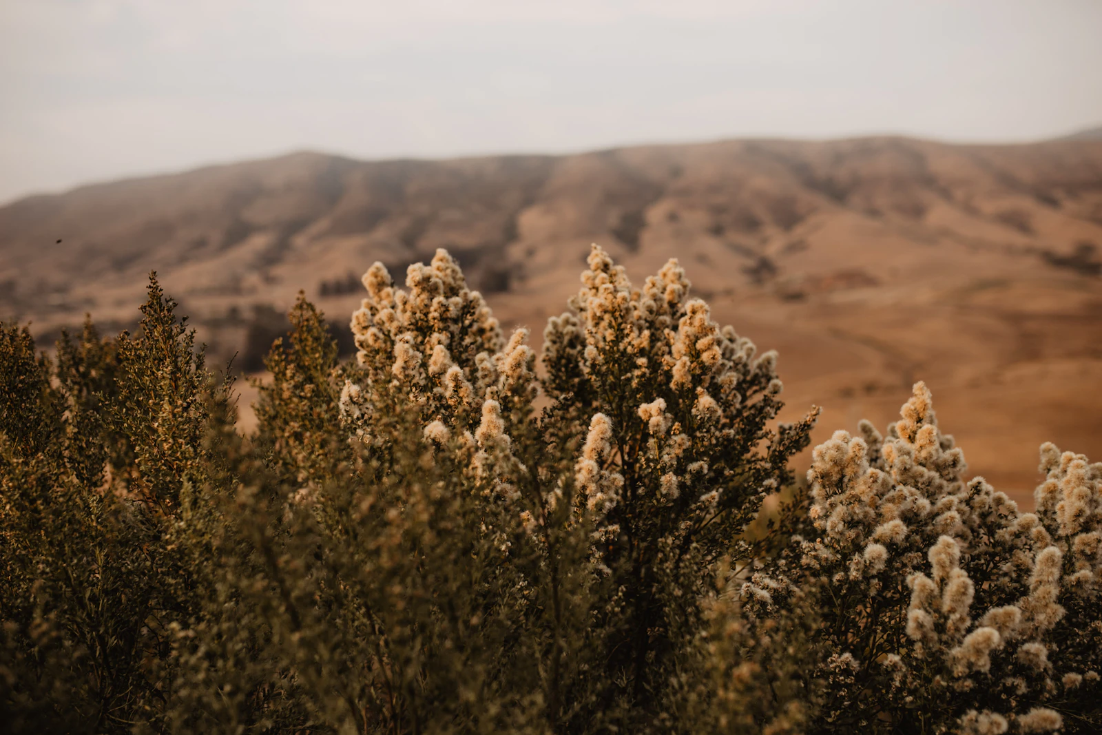 San Luis Obispo, California photo 15 by madison detwiler