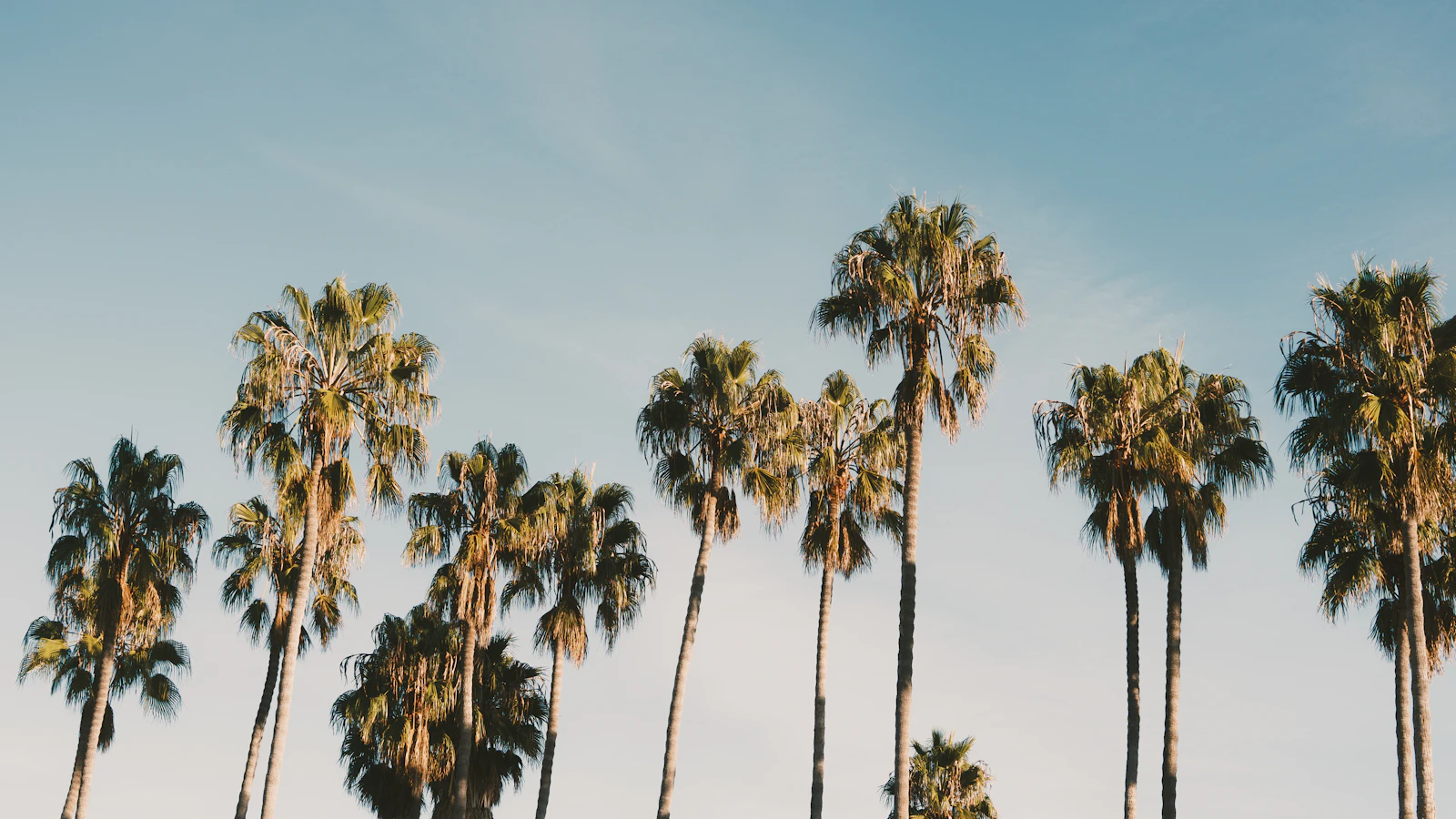 Santa Barbara, California photo 6 by NIR HIMI