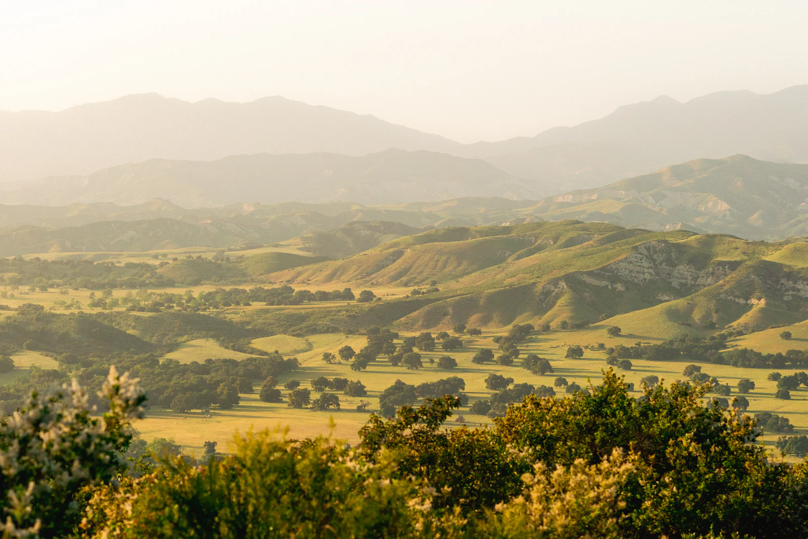 Santa Barbara, California photo 11 by Mason Field