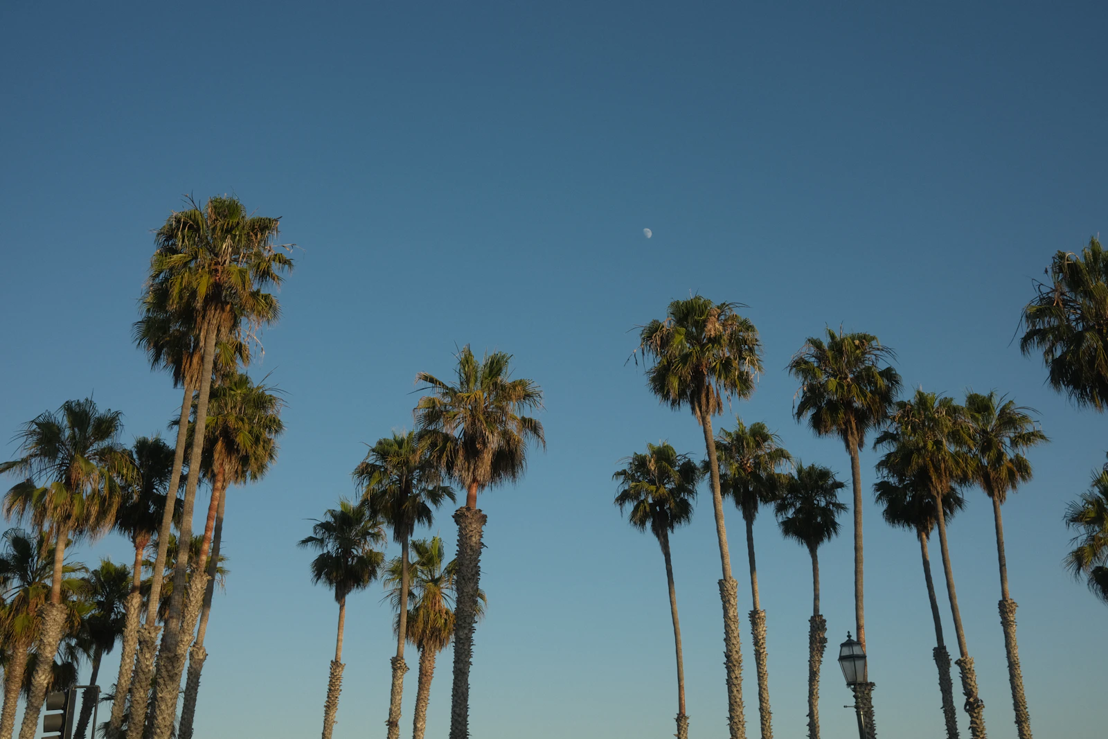 Santa Barbara, California photo 16 by Simon Hermans
