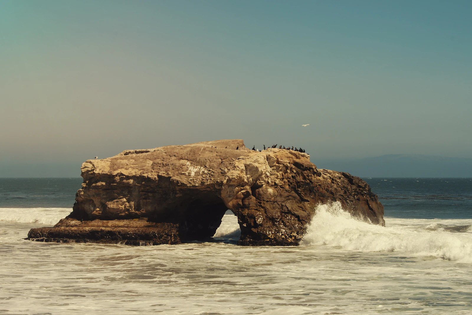 Santa Cruz, California photo 23 by Gabriel Tovar