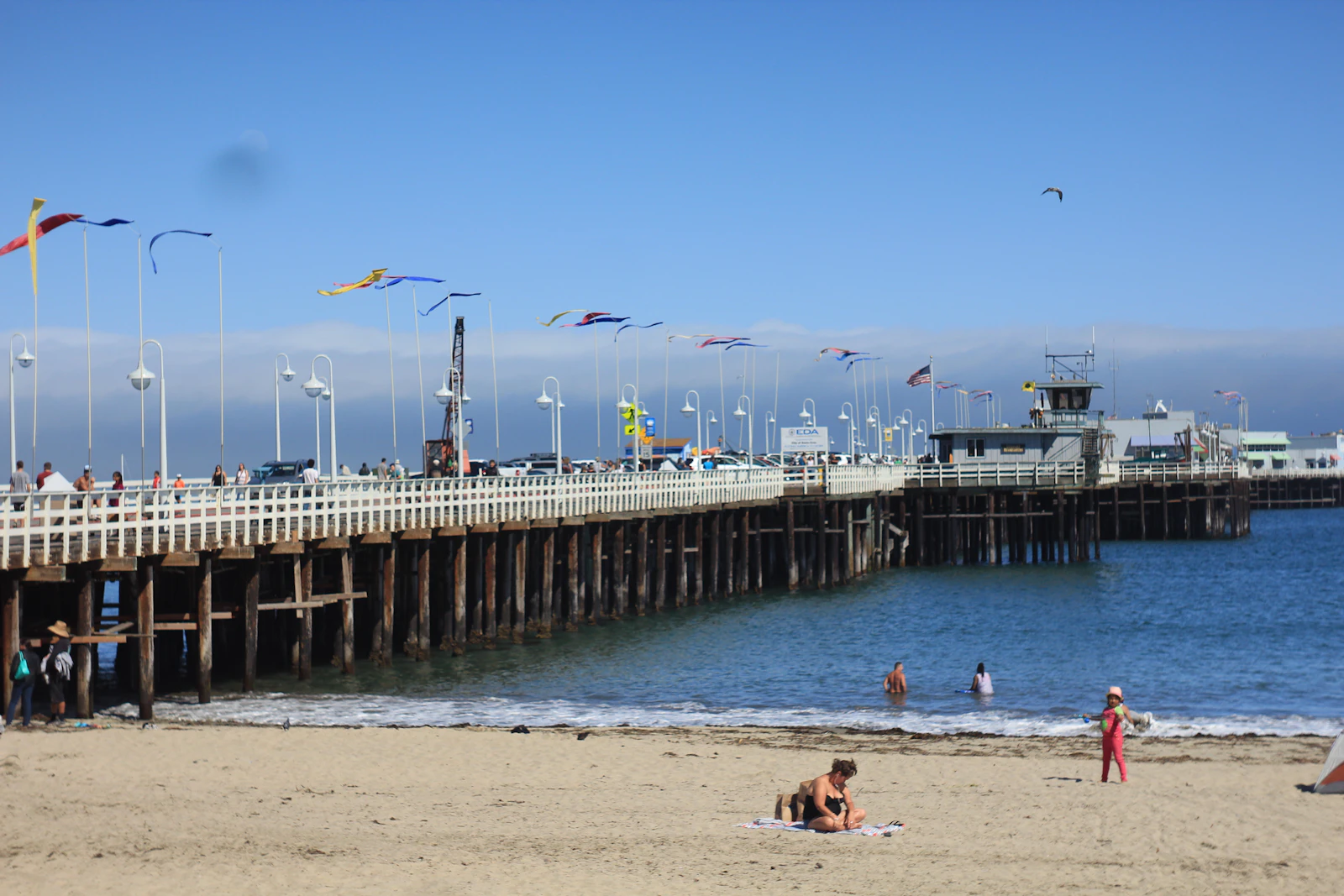 Santa Cruz, California photo 7 by Nicholas Ismael Martinez