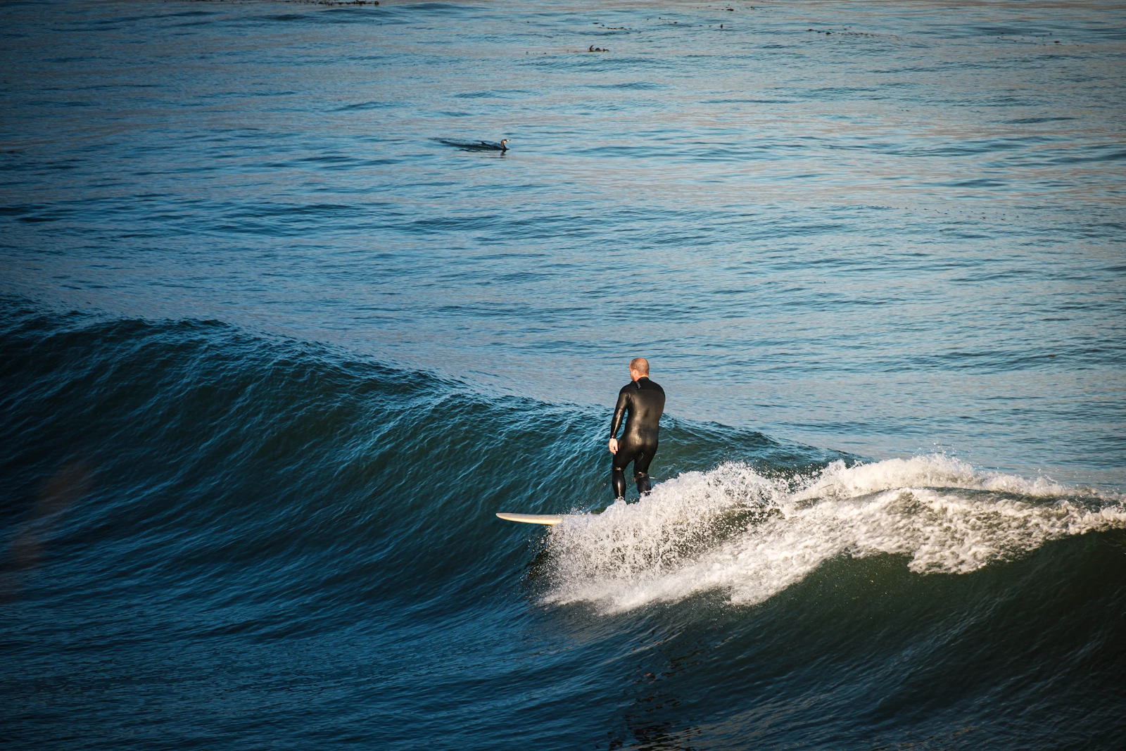 Santa Cruz, California photo 10 by Federico Gobbi