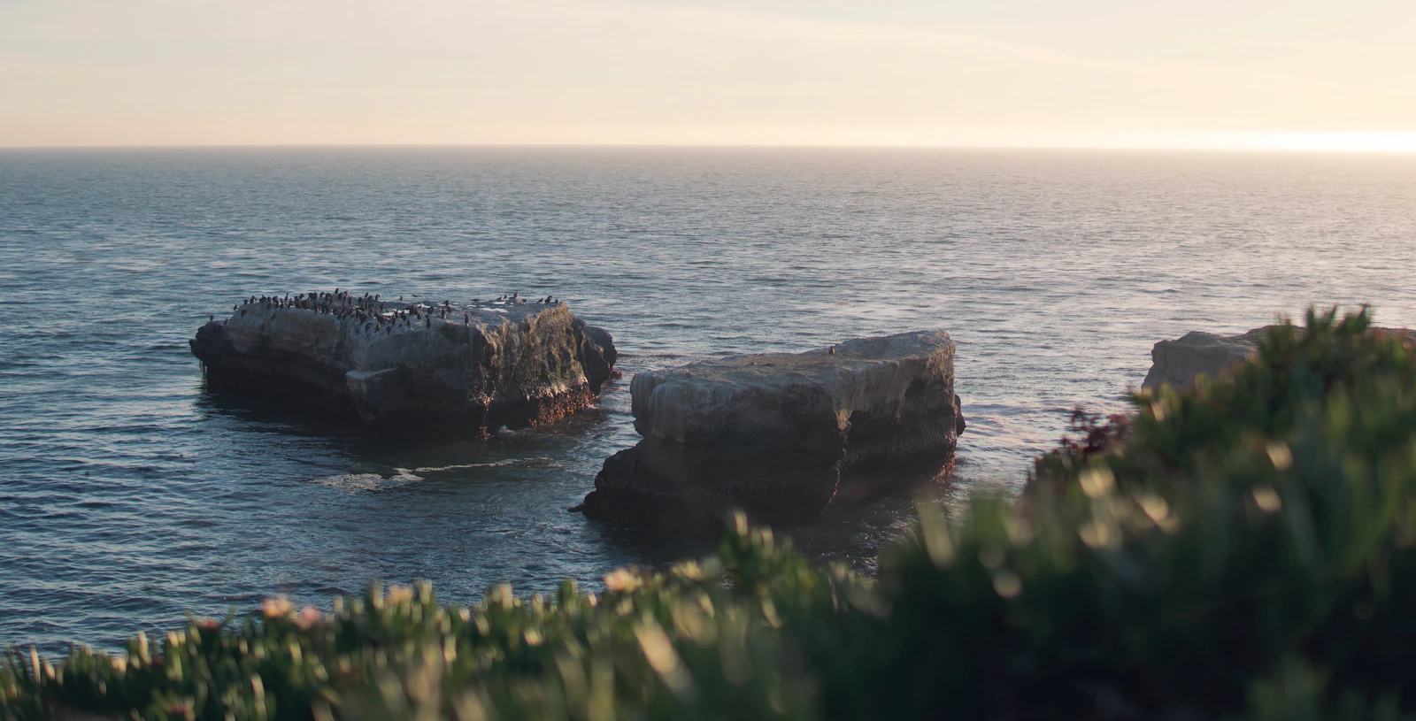 Santa Cruz, California photo 22 by Forest Katsch
