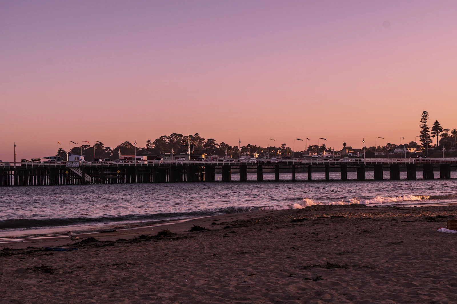 Santa Cruz, California photo 20 by Abhishek Rao