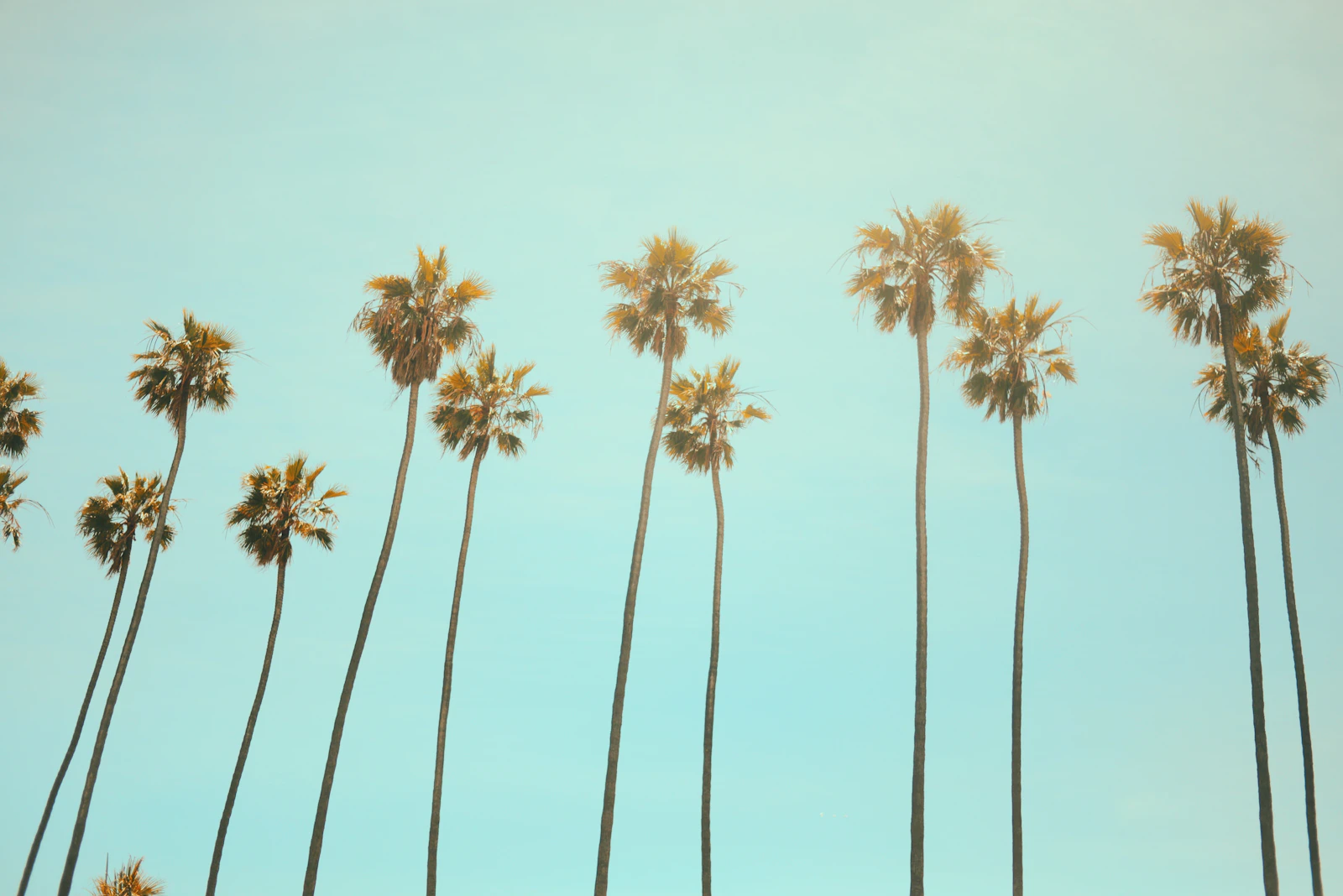 Santa Monica, California photo 6 by Julian Myles