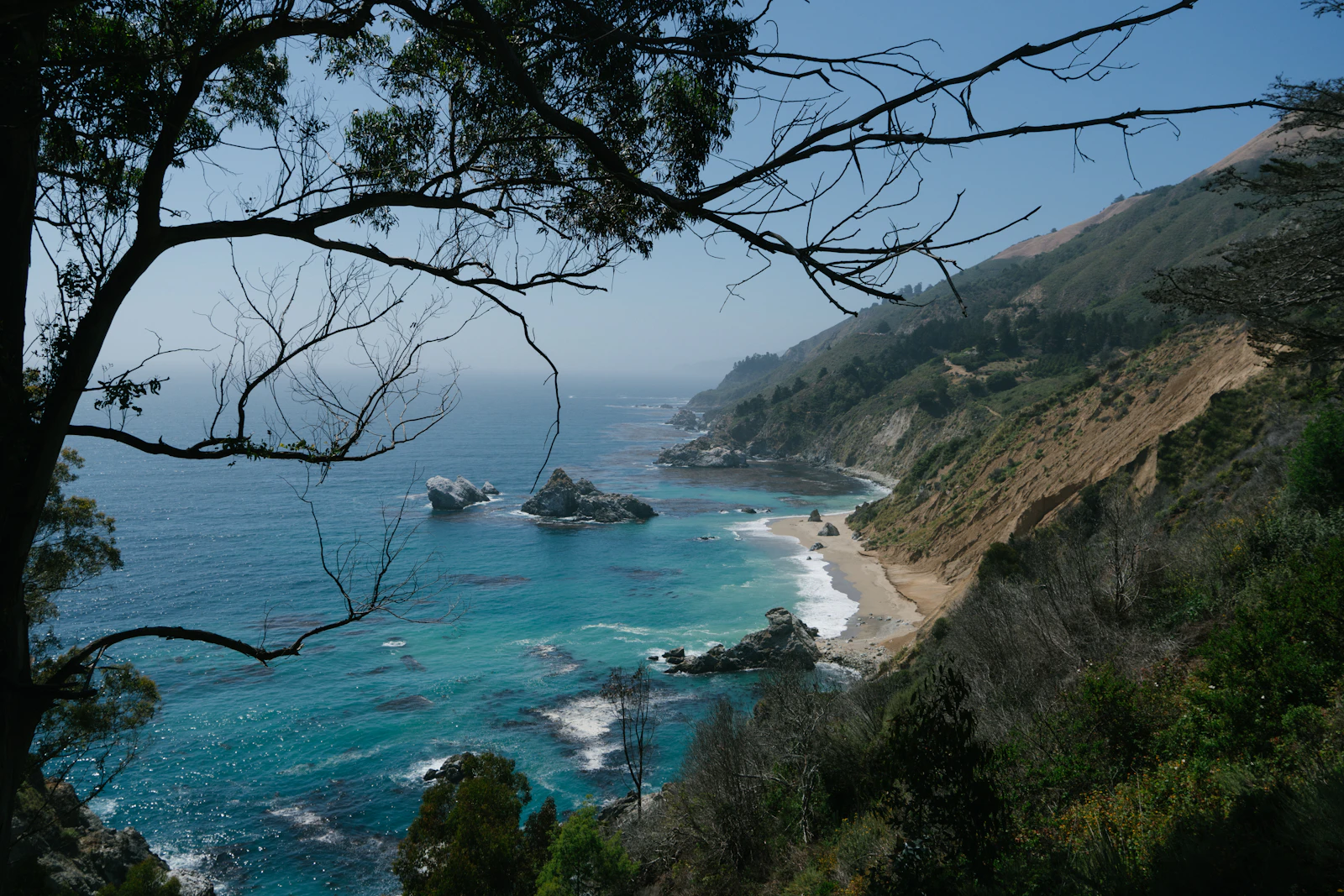 Sausalito, California photo 7 by Carl Newton