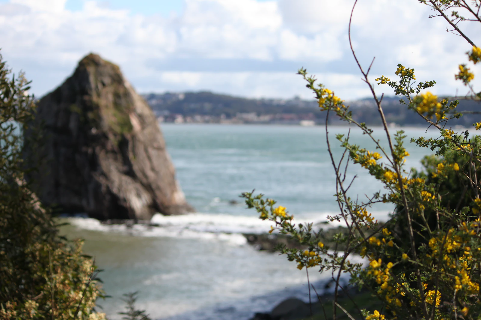 Sausalito, California photo 27 by Cameron Earl