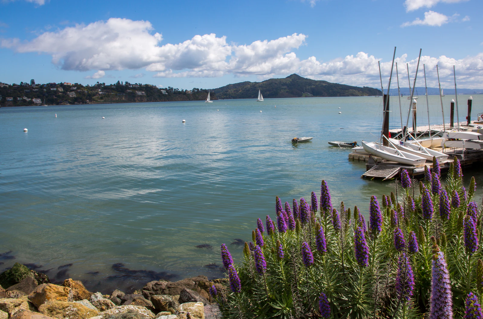 Sausalito, California photo 18 by Lauren Baxter
