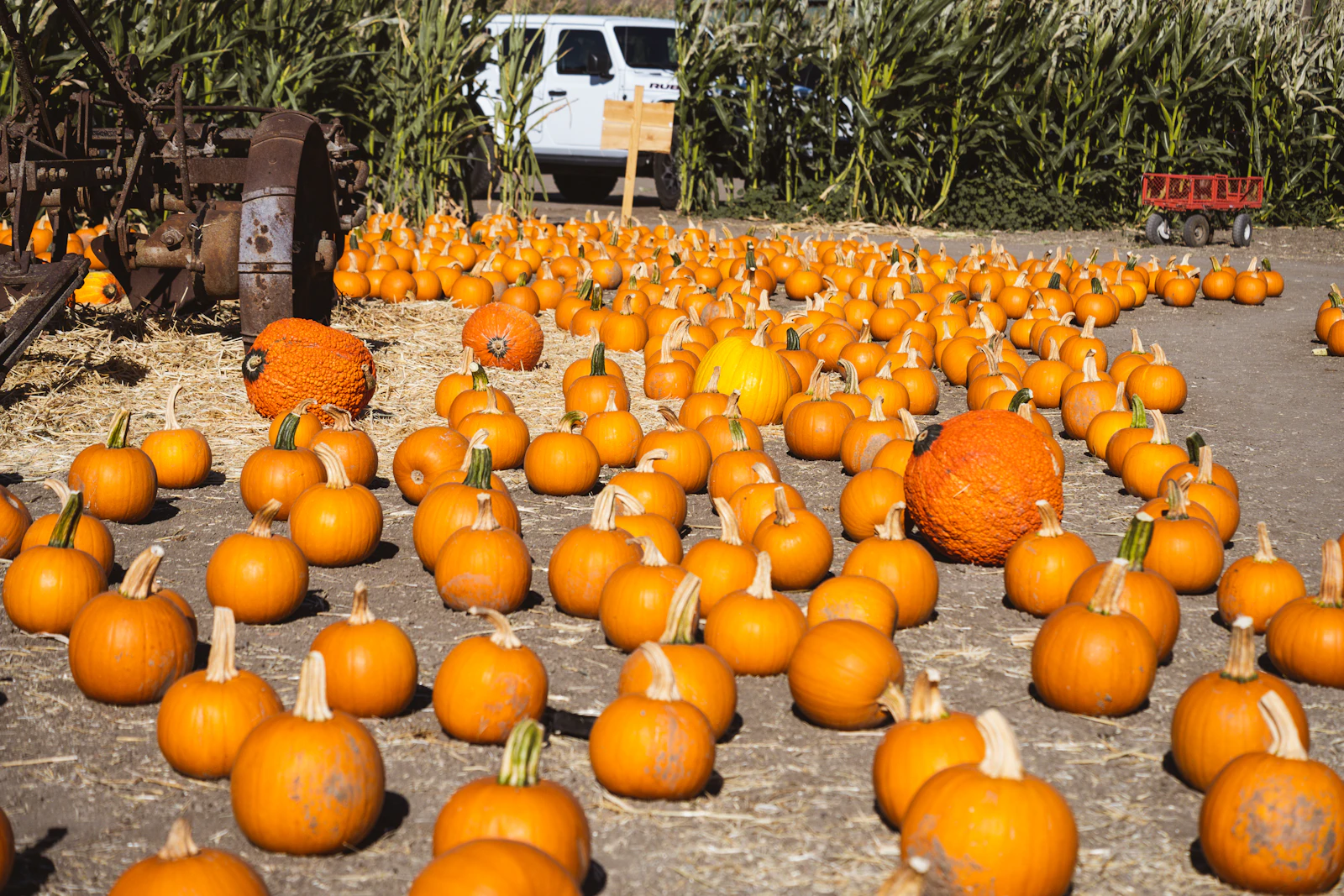 Solvang, California photo 16 by Oscar Ochoa