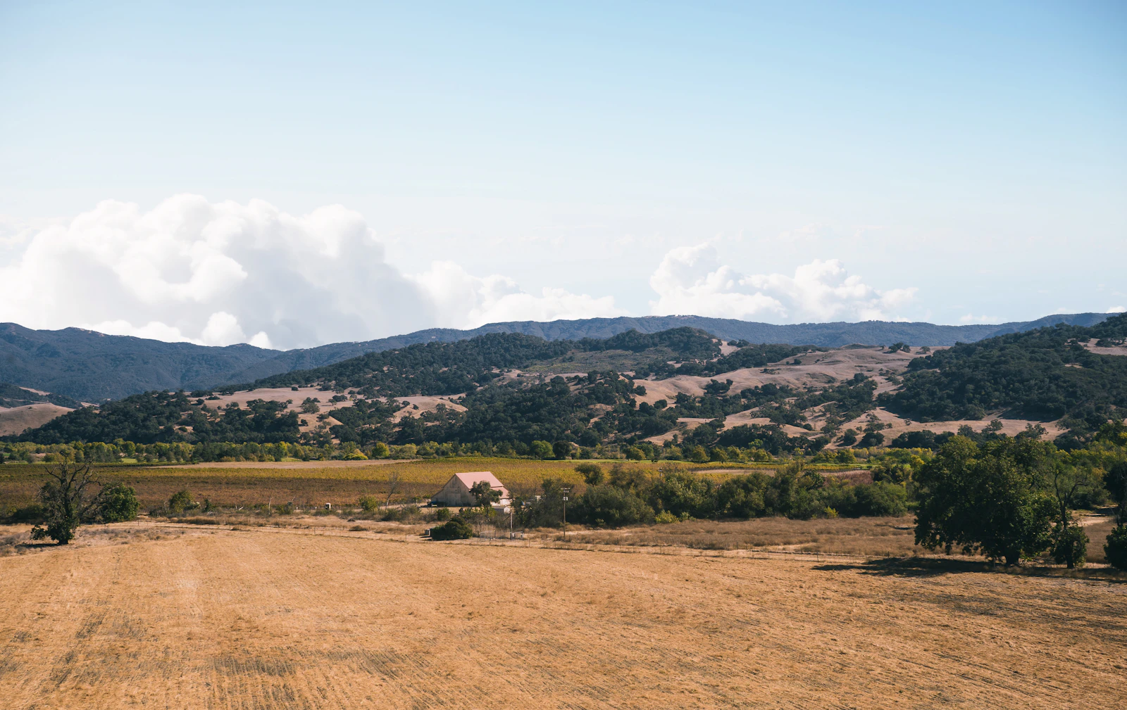 Solvang, California photo 13 by Anthony