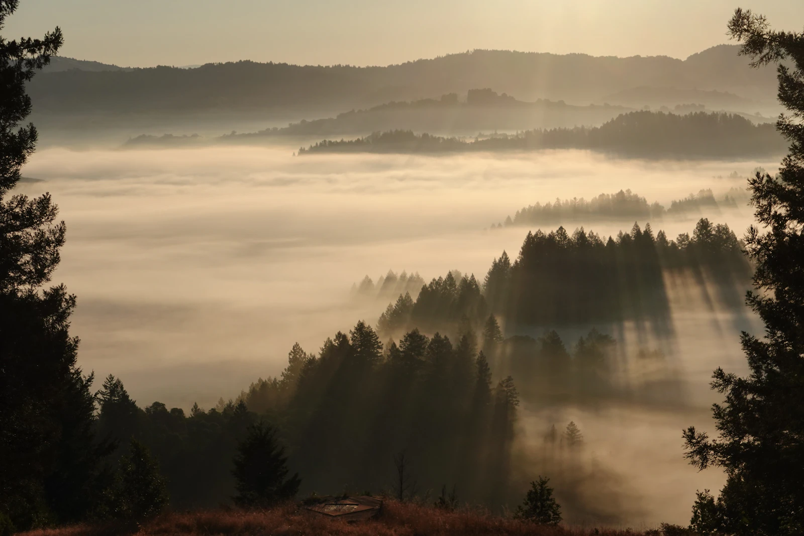 Sonoma, California photo 23 by Danilo Lessa Bernardineli
