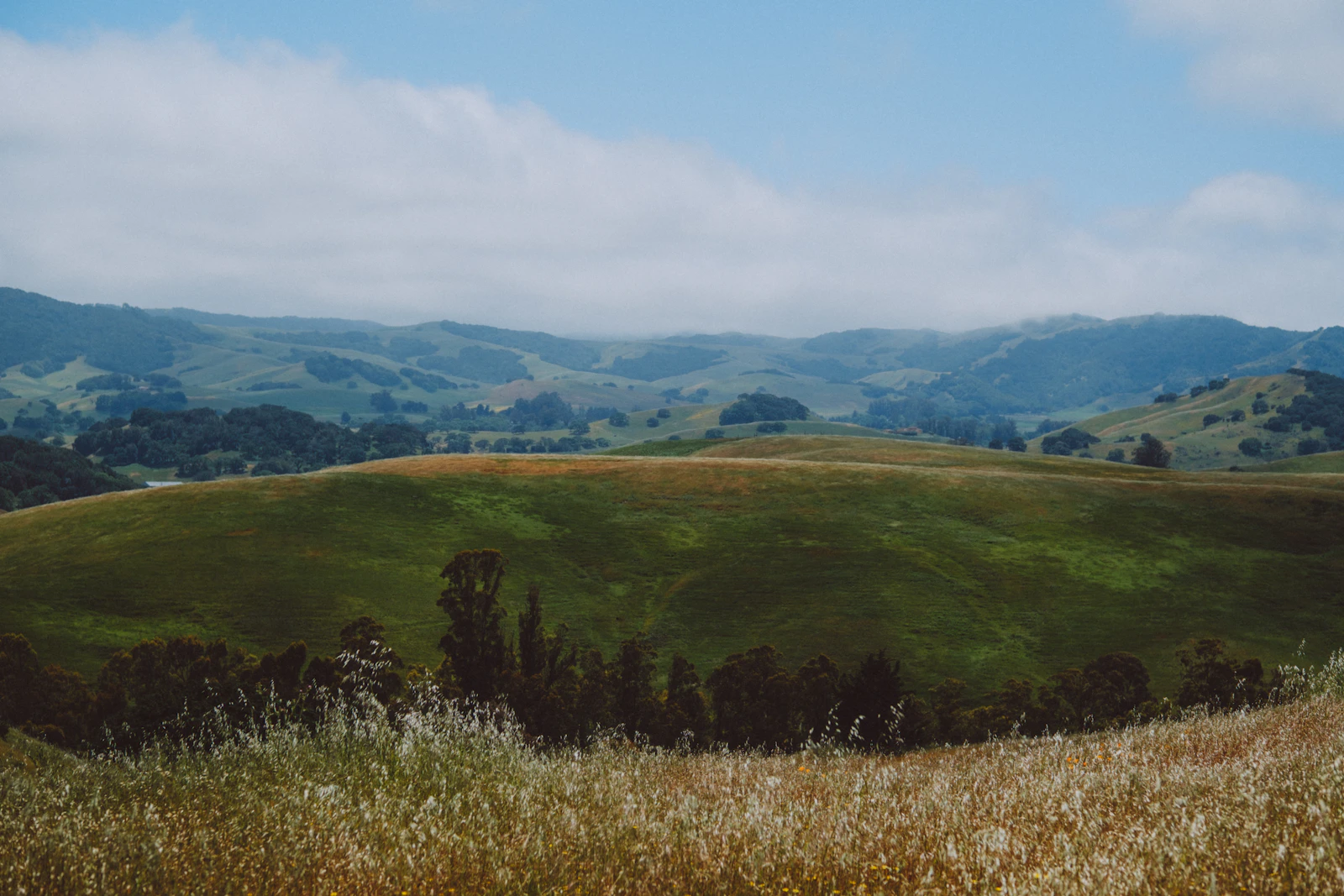 Sonoma, California photo 30 by Ashe Walker