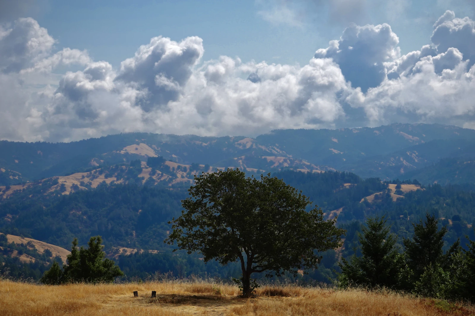 Sonoma, California photo 12 by Danilo Lessa Bernardineli