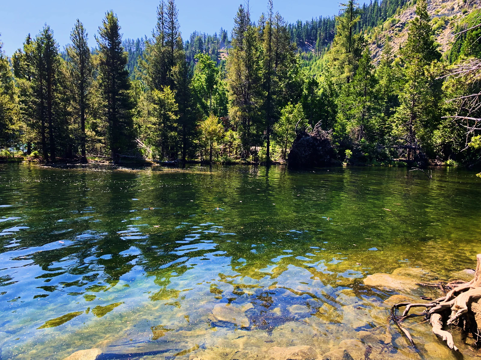 South Lake Tahoe, California photo 12 by Michael Wilson