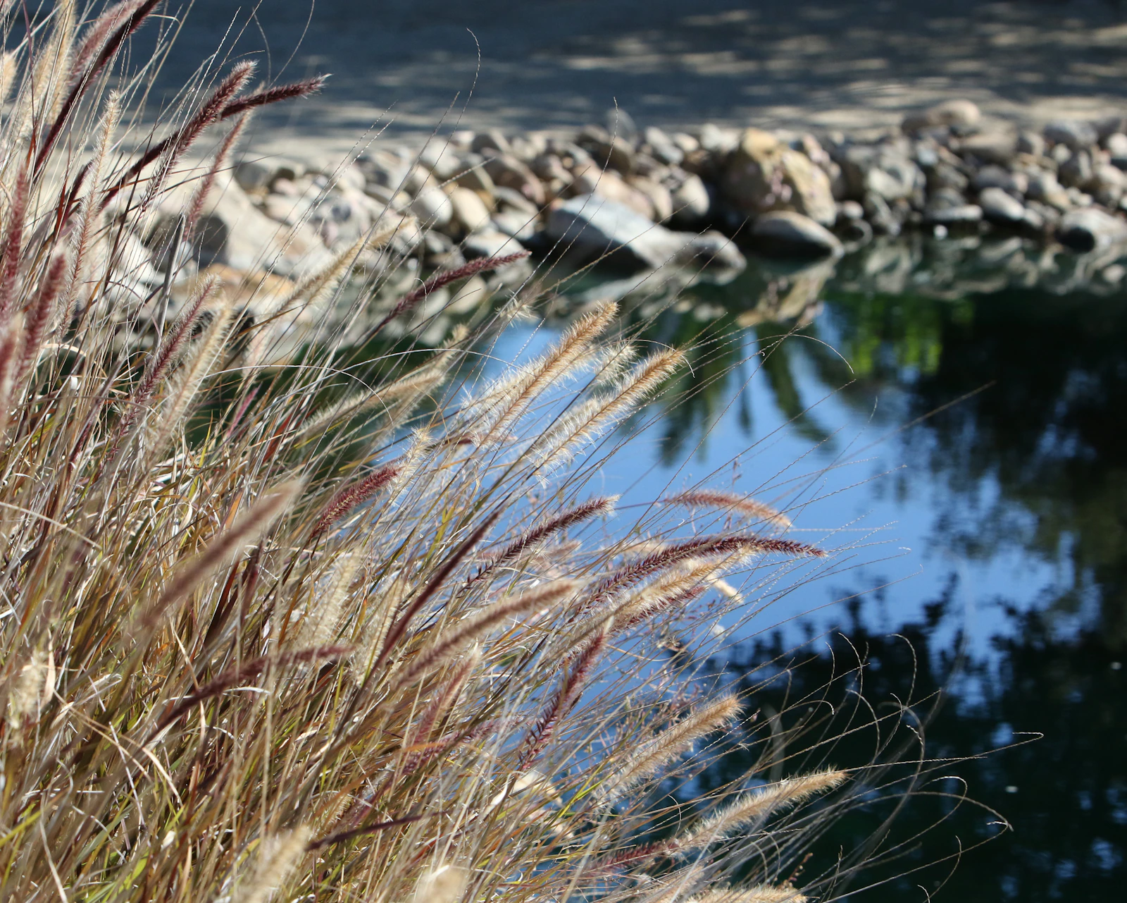 Temecula, California photo 17 by David Trinks
