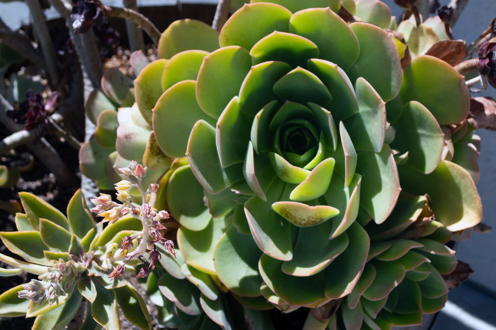 Temecula, California photo 6 by Bryan Colosky