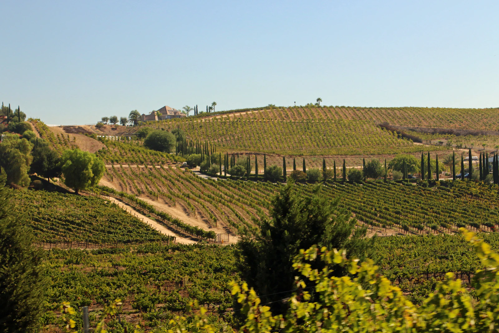Temecula, California photo 24 by David Trinks