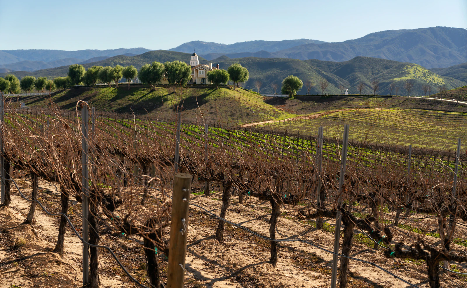 Temecula, California photo 1 by Jim Witkowski